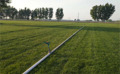 滴灌適合那些作物！